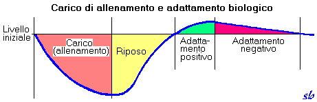 periodizzazione 2